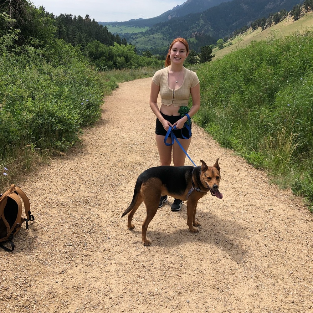 Meet your Posher, Natasha